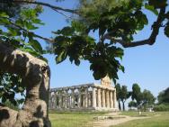 Paestum archeopark