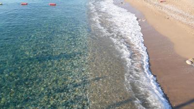 Marti Myra - celkem pěkná dovolená v lese u moře, která má svá ale...