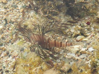 SUPER DOVOLENÁ V EGYPTĚ