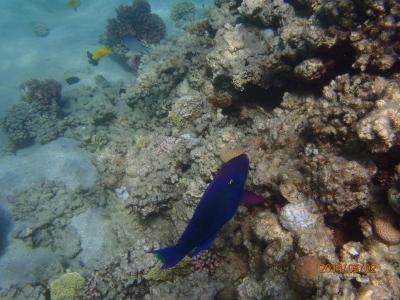 Spokojenost a úžasný odpočinek 