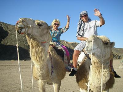  CROWNE PLAZA SAHARA OASIS ***** 