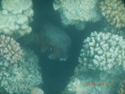 Příjemná dovolená