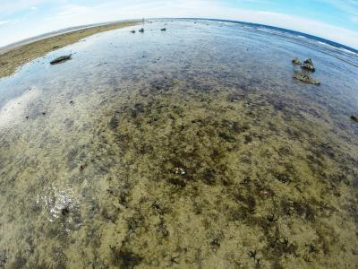 příjemná dovolená