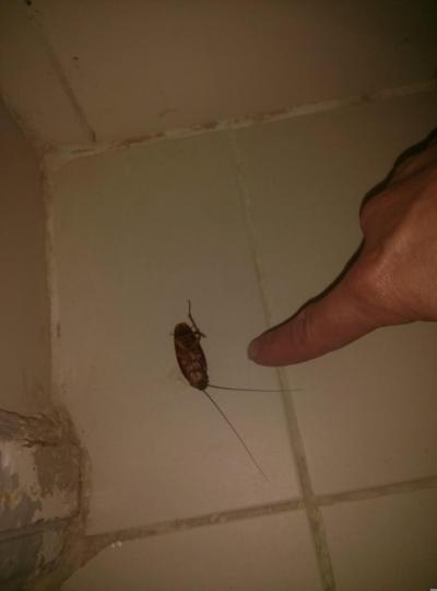 Hotel má pro i proti