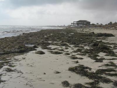 Opravdu malý palác