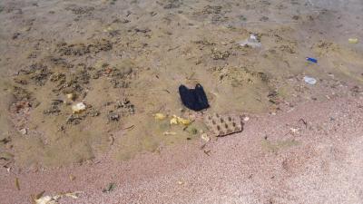 Rezcenze hotelu Paradise