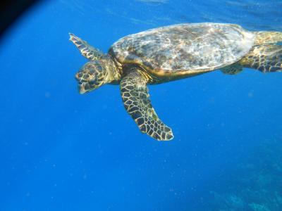 Nejlepší dovolená!!!!