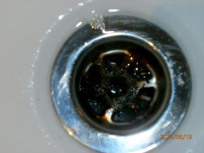 dovolená 13.6.-29.6. 2014