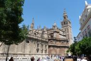Sevilla katedrála