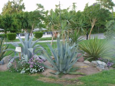 Opět hezká dovolená.