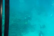 pohled z ponorky :)
