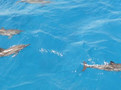 Hodnocení Coral Hills Resort