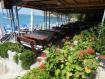 Krásná dovolená v Černé Hoře 