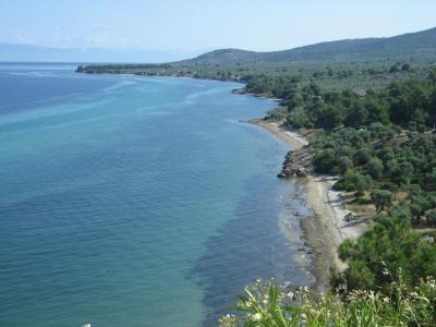 Poměr výkon - cena odpovídá