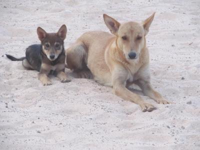 Zdravím Šťasné vesničany