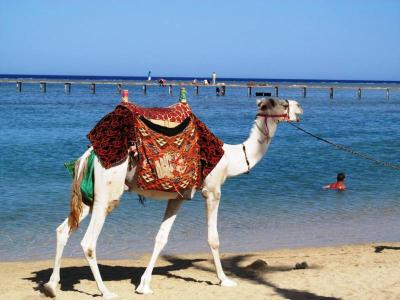 EL PHISTONE - červenec 2014