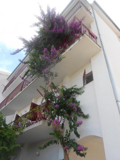 Yakir Katarina, Baška Voda, Chorvatsko adrialand