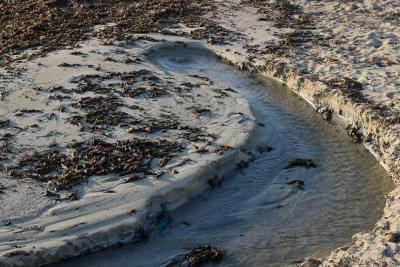 Kvůli moři už ani omylem.