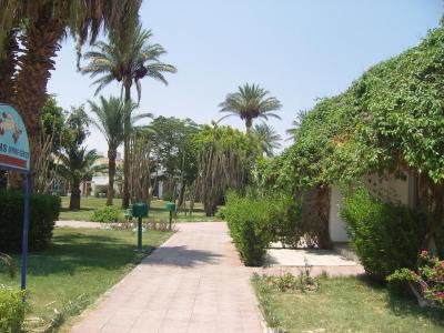 Skvělé - doporučuji