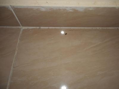 NEJHORŠÍ DOVOLENÁ