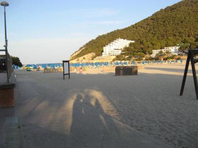 Průměrná dovolená