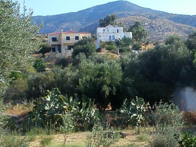 řecko - samos - votsalakia - theo