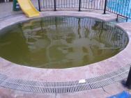 bazén pro děti
