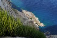 Cesta na Formentor