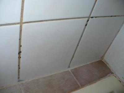 Apokalypsa v hotelu Gold Twins s CK **** !