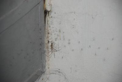 adrenalinový zážitek Libošovice Mikulík