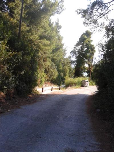 Hotel Paradise Řecko-Chalkidiki-Kriopigi