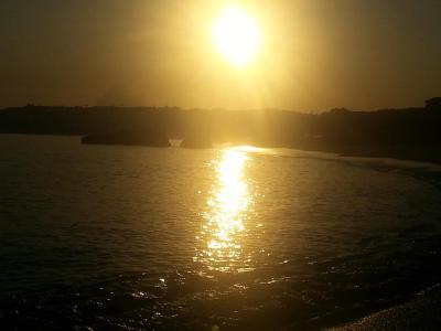 Jela bych hned znovu