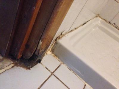 Jen pro otrlé !!!!!!!!!!!!!!