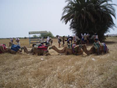 Hotel Bahia Beach 4*