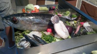 Docela hezká dovolená