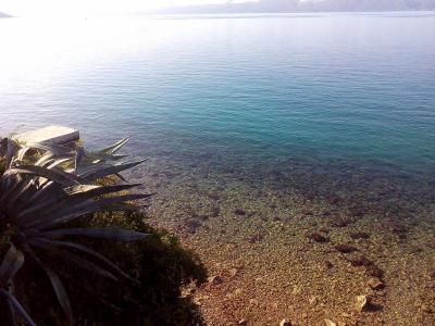 Ideální pro nenáročné klienty