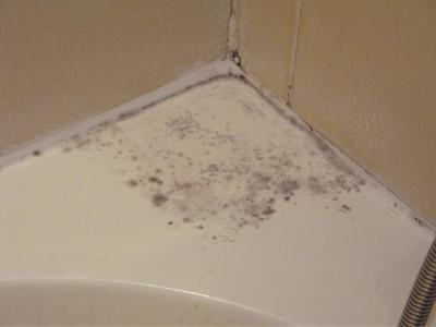 Amwaj Oyoun Hotel & Resort