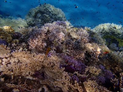 Návrat do vyzkoušeného hotelu