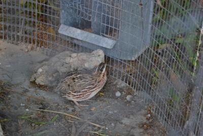 Dovolená na konci léta