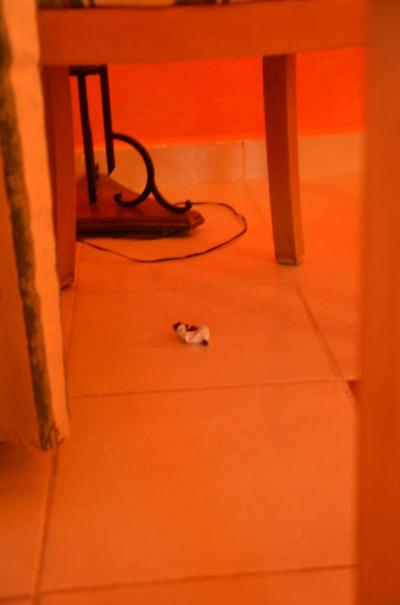 naprostá katastrofa, zklamání, vyhozené peníze, zkažená dovolená, nervy v kyblu