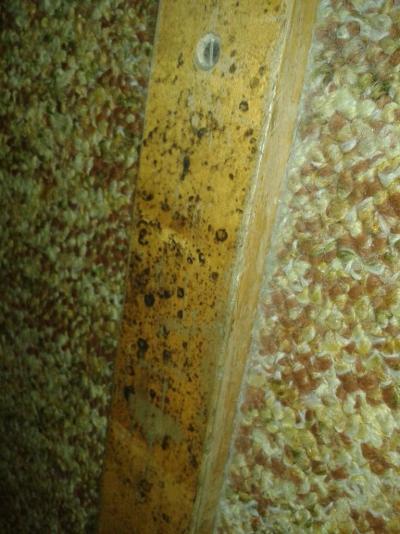 Vydrželi jsme 2 hodiny - důkazní foto !!!