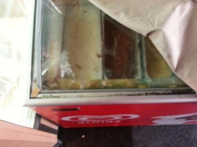 Bulharsko, už nikdy. Tento zájezd mi prodala cestovní kancelář **********.