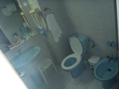 Dovolená v Irene Palace