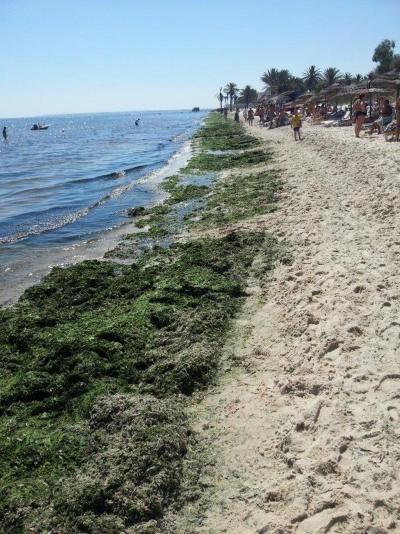 Poprvé dobrý, podruhé hrůza...