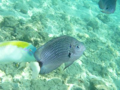 Nejlepší dovolená!!!