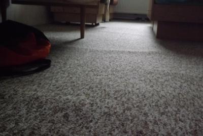 Rozhodně nedoporučuji!