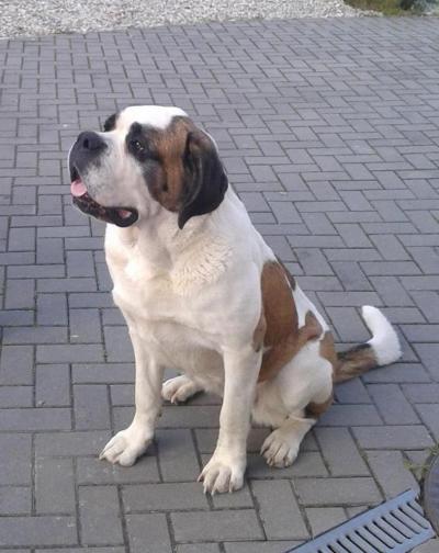 SKVĚLÝ VÍKEND - M e l i c h a ř í k o v i, Hranice