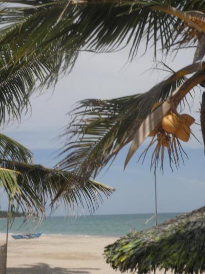 Prohlídka hotelu Sea Lotus Park