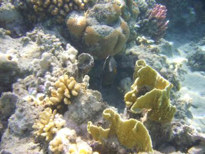 Krásná odpočinková dovolená