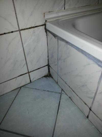 Hotel TRAGEDIA!!!!! HNUS tomuto hotelu bych vzal všechny ***